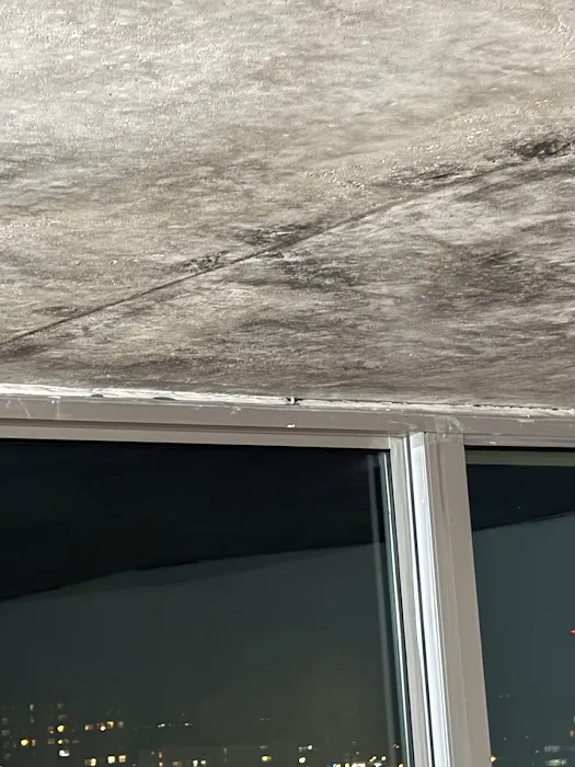 New Crystal Restoration Picture 10