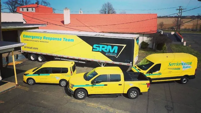 ServiceMaster TRS - Stamford Picture 6