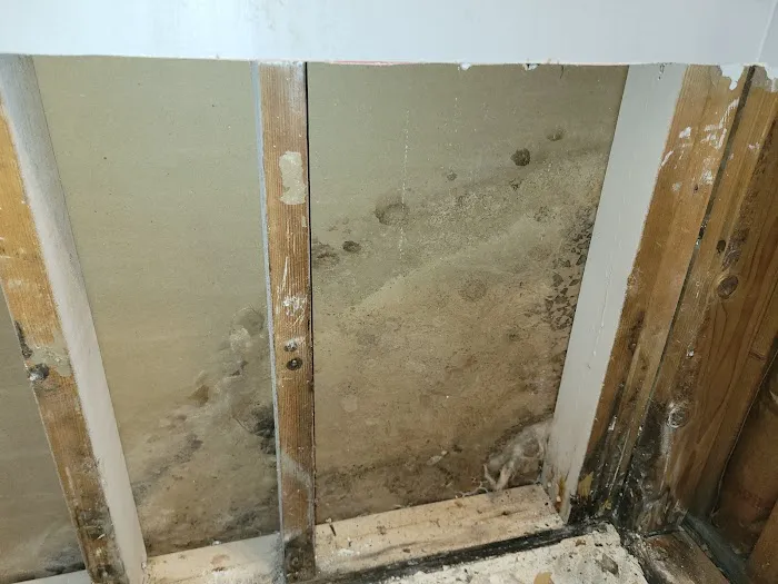 MoldMD Solutions Picture 9