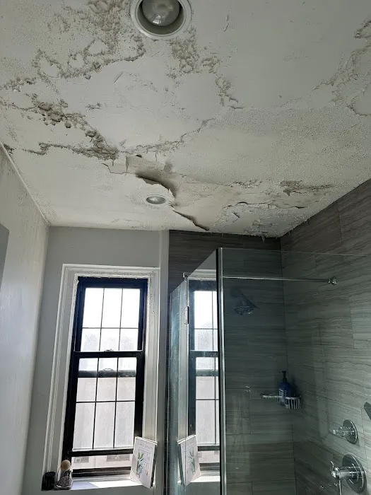 MoldMD Solutions Picture 4