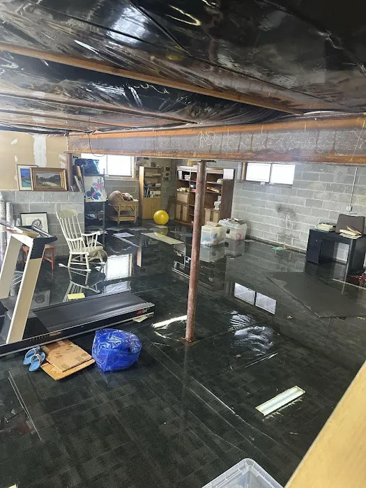 MoldMD Solutions Picture 5