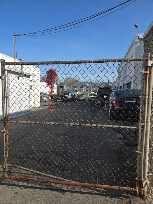 MoldMD Solutions Picture 10