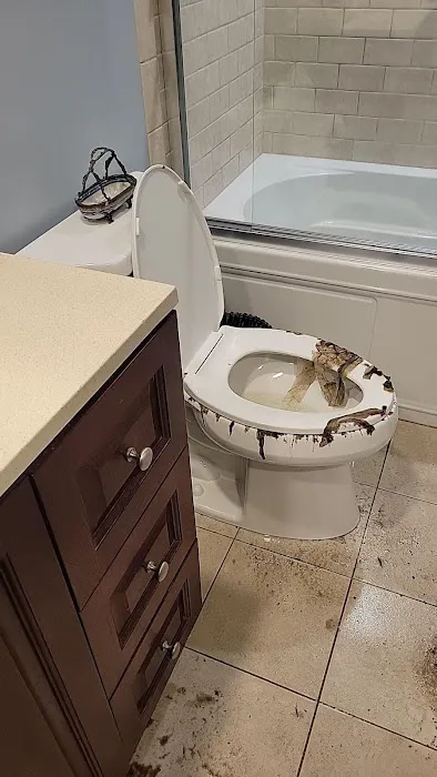 MoldMD Solutions Picture 1