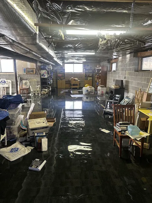 MoldMD Solutions Picture 2