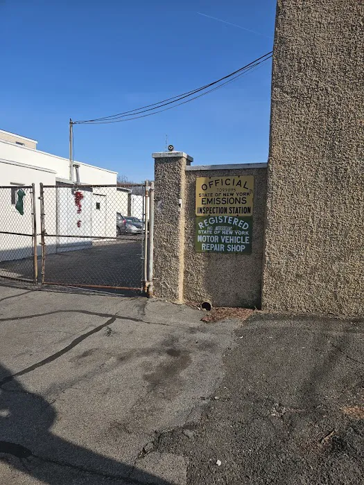 MoldMD Solutions Picture 8