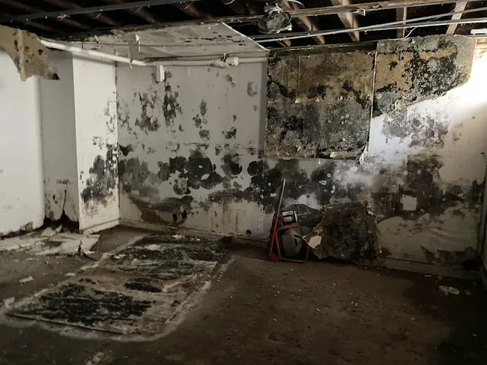 Hi-Tech Cleaning & Restoration Picture 7