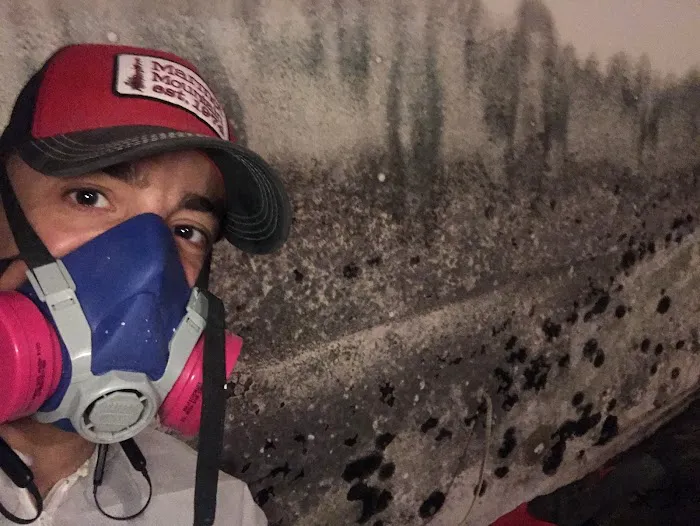 Hi-Tech Cleaning & Restoration Picture 10