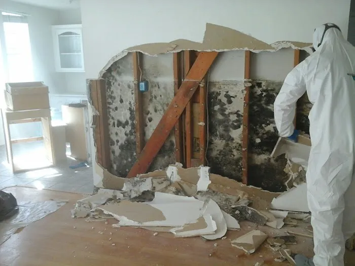 Westchester Mold Removal & Remediation Picture 5