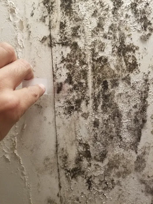 Westchester Mold Removal & Remediation Picture 10