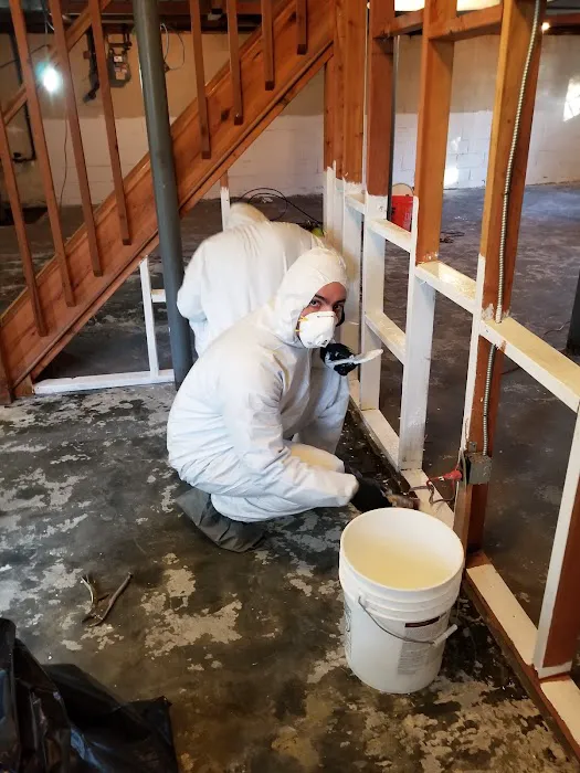 Westchester Mold Removal & Remediation Picture 9