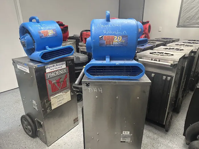 Magna Dry Cleaning and Restoration Inc Picture 2