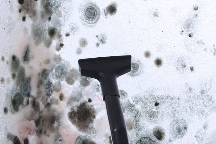 Magna Dry Cleaning and Restoration Inc Picture 8