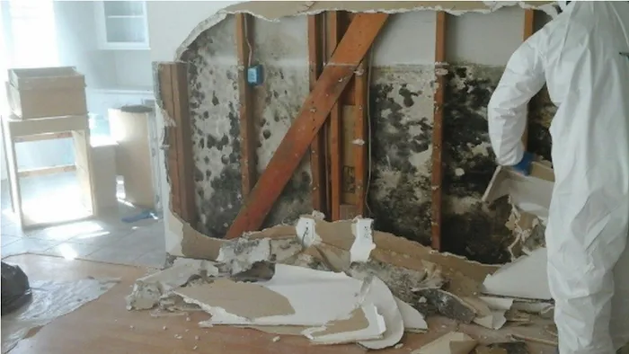 Magna Dry Cleaning and Restoration Inc Picture 7