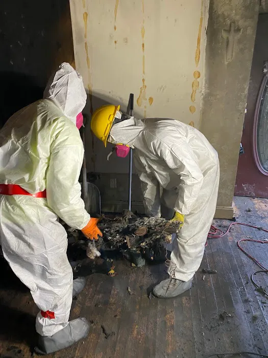 Operation Restoration Picture 5