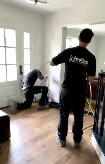 PuroClean Professional Restoration Picture 6