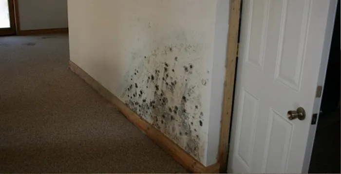 H&H Environmental Picture 1