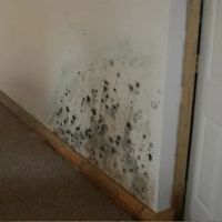 H&H Environmental ico