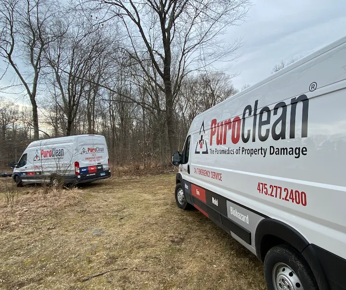 PuroClean of Wilton | Ridgefield Picture 4