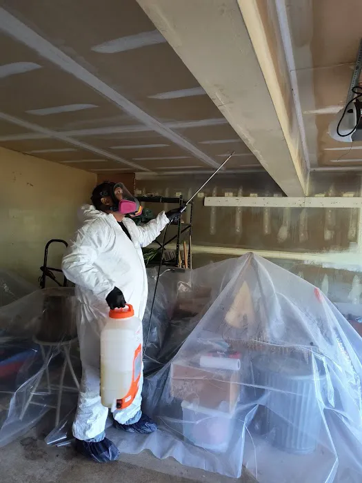 CT Mold Pros Picture 5