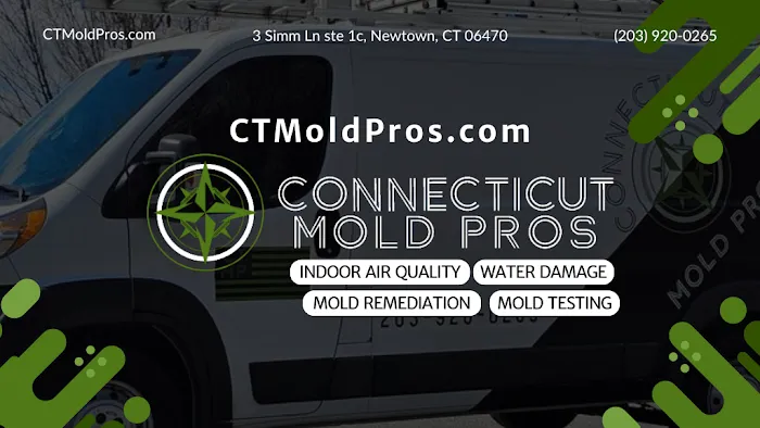 CT Mold Pros Picture 4