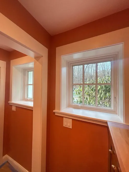 Genesis Pro Painting & Restoration Inc. Picture 6