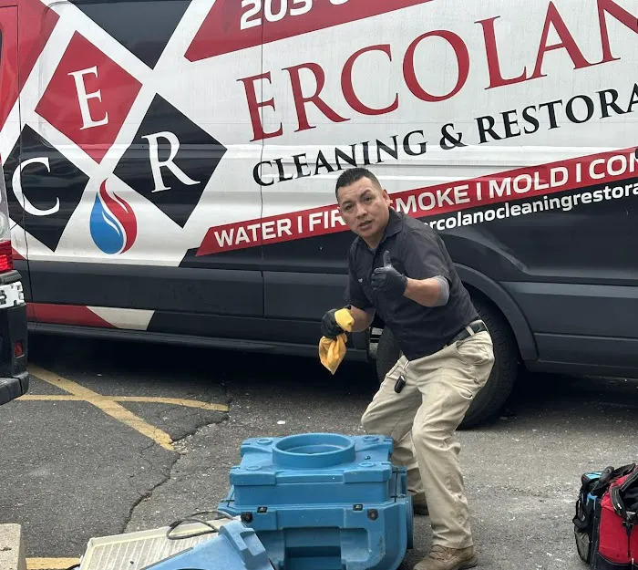 Ercolano Cleaning & Restoration Picture 8