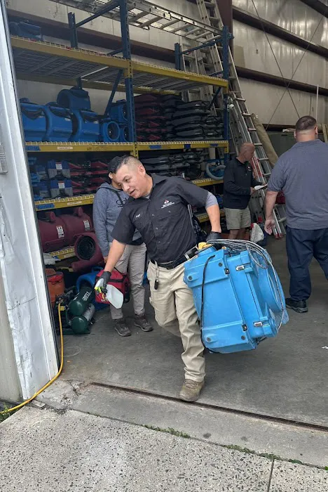 Ercolano Cleaning & Restoration Picture 1