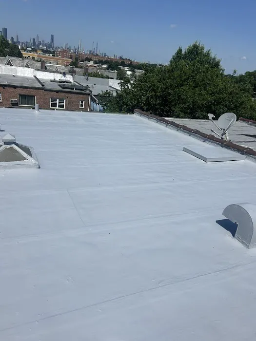 Bridges Roof Repair & Install Picture 2