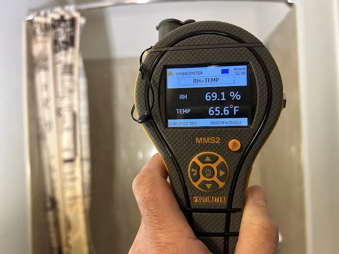 Connecticut Mold Picture 5