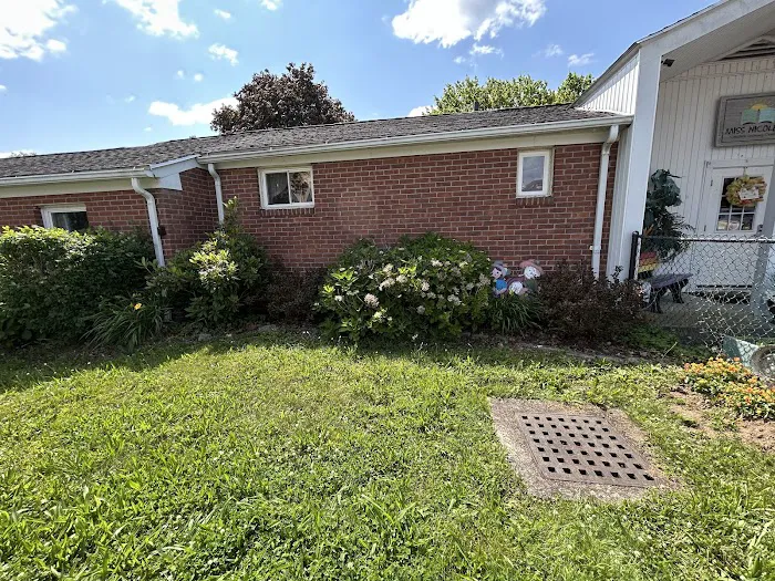 Connecticut Mold Picture 9