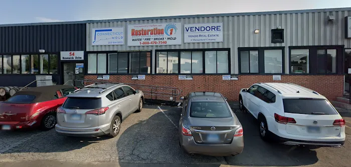 Connecticut Mold Picture 10