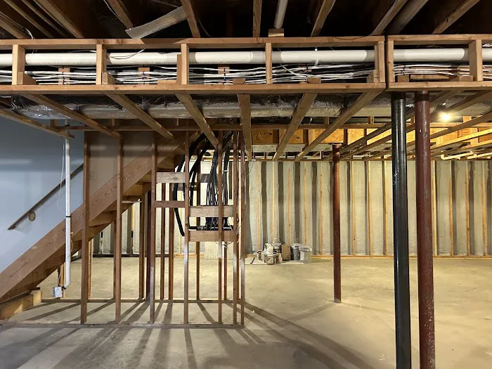 Connecticut Mold Picture 8