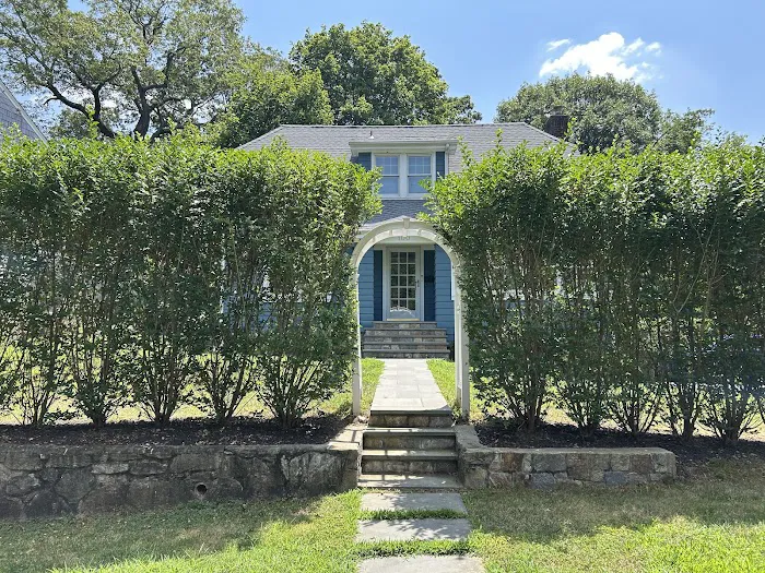 Connecticut Mold Picture 7