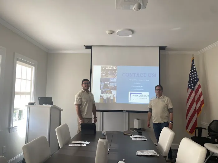 Connecticut Mold Picture 2