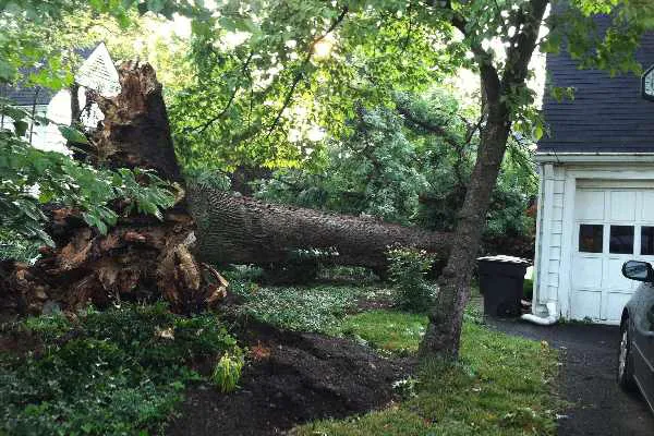 Restoration 1 of Fairfield Picture 5