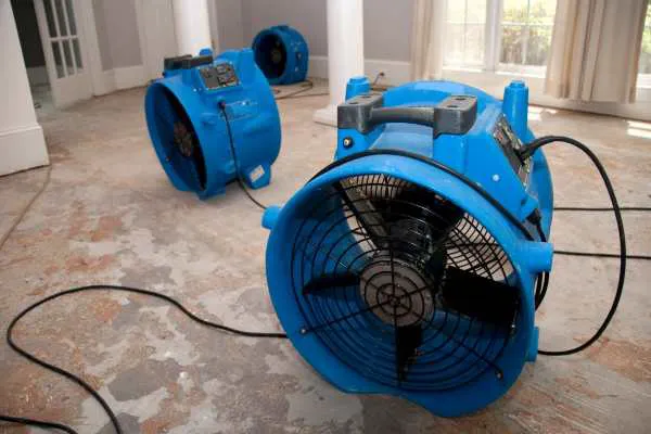 Restoration 1 of Fairfield Picture 1