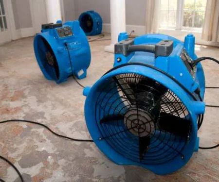 Restoration 1 of Fairfield