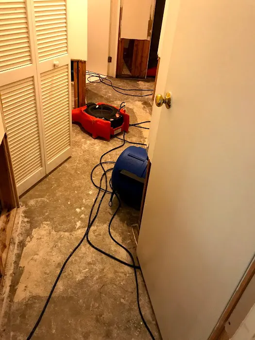 First Response Restoration of Stamford Picture 7