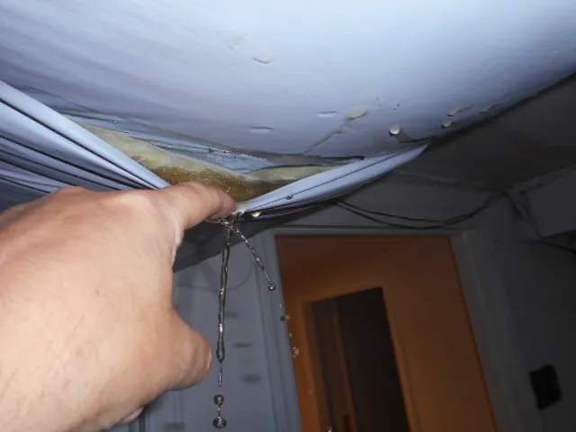 FDX Restoration, Inc. Picture 2