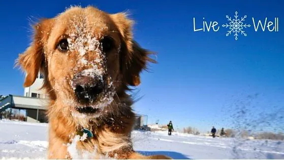 RTK Environmental Picture 3