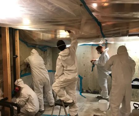 Restoration Operators of Bronx