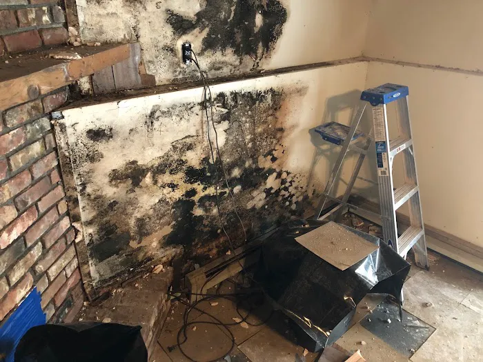 Restoration Operators of Bronx Picture 8