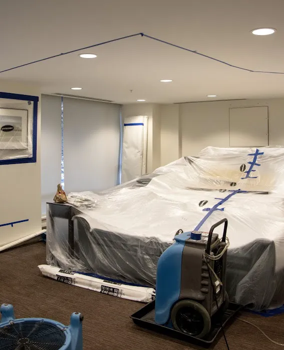 Upper Manhattan Mold Damage Restoration Picture 7