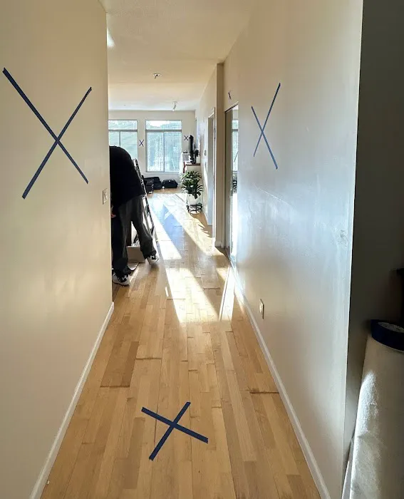 Upper Manhattan Mold Damage Restoration Picture 1