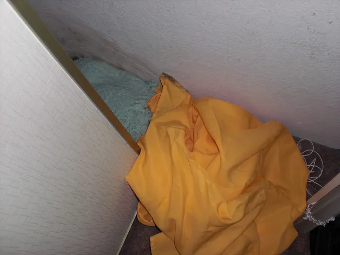 Upper Manhattan Mold Damage Restoration Picture 4