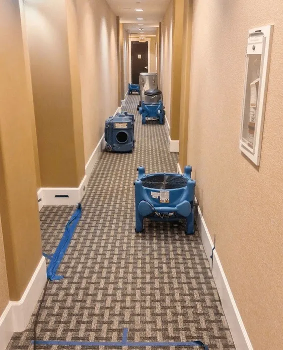 Upper Manhattan Mold Damage Restoration Picture 10