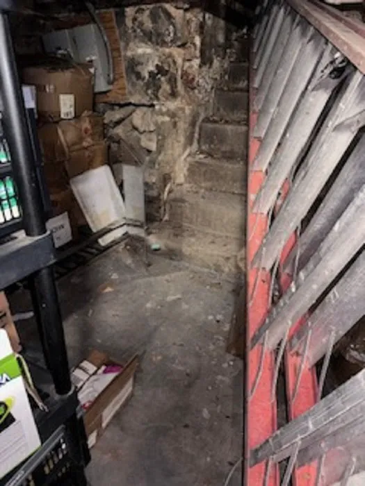 Mold Removal & Remediation Picture 5