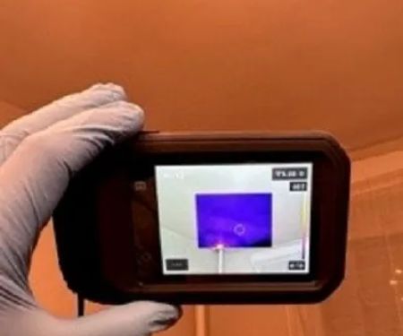 Mold Removal & Remediation