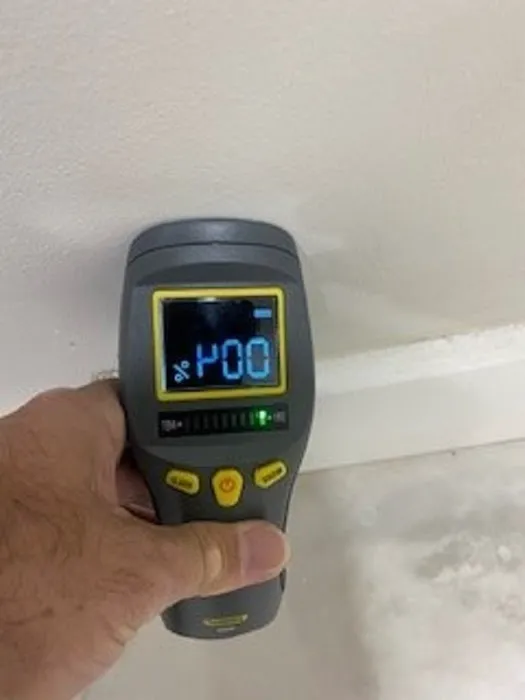 Mold Removal & Remediation Picture 4