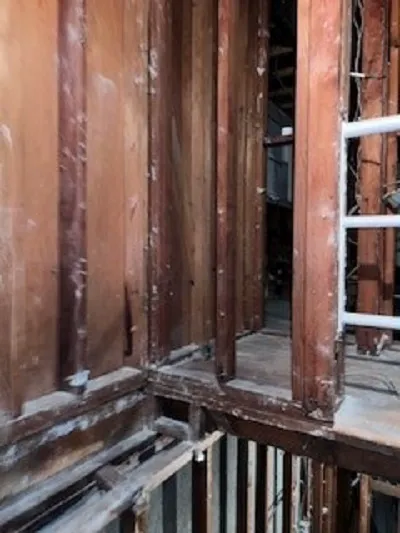 Mold Removal & Remediation Picture 7